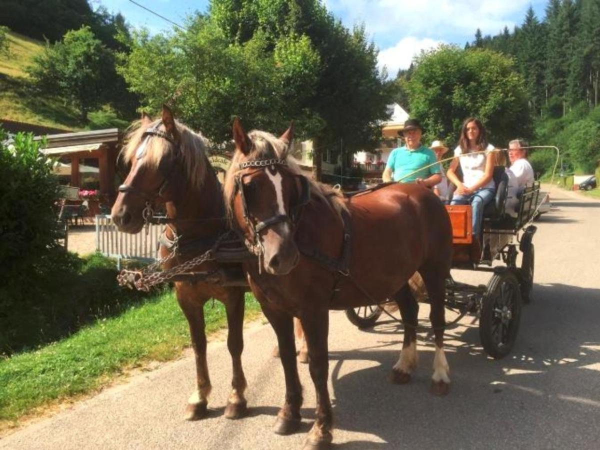 Ferienwohnungen Maierhof Oberried Oberried  Luaran gambar