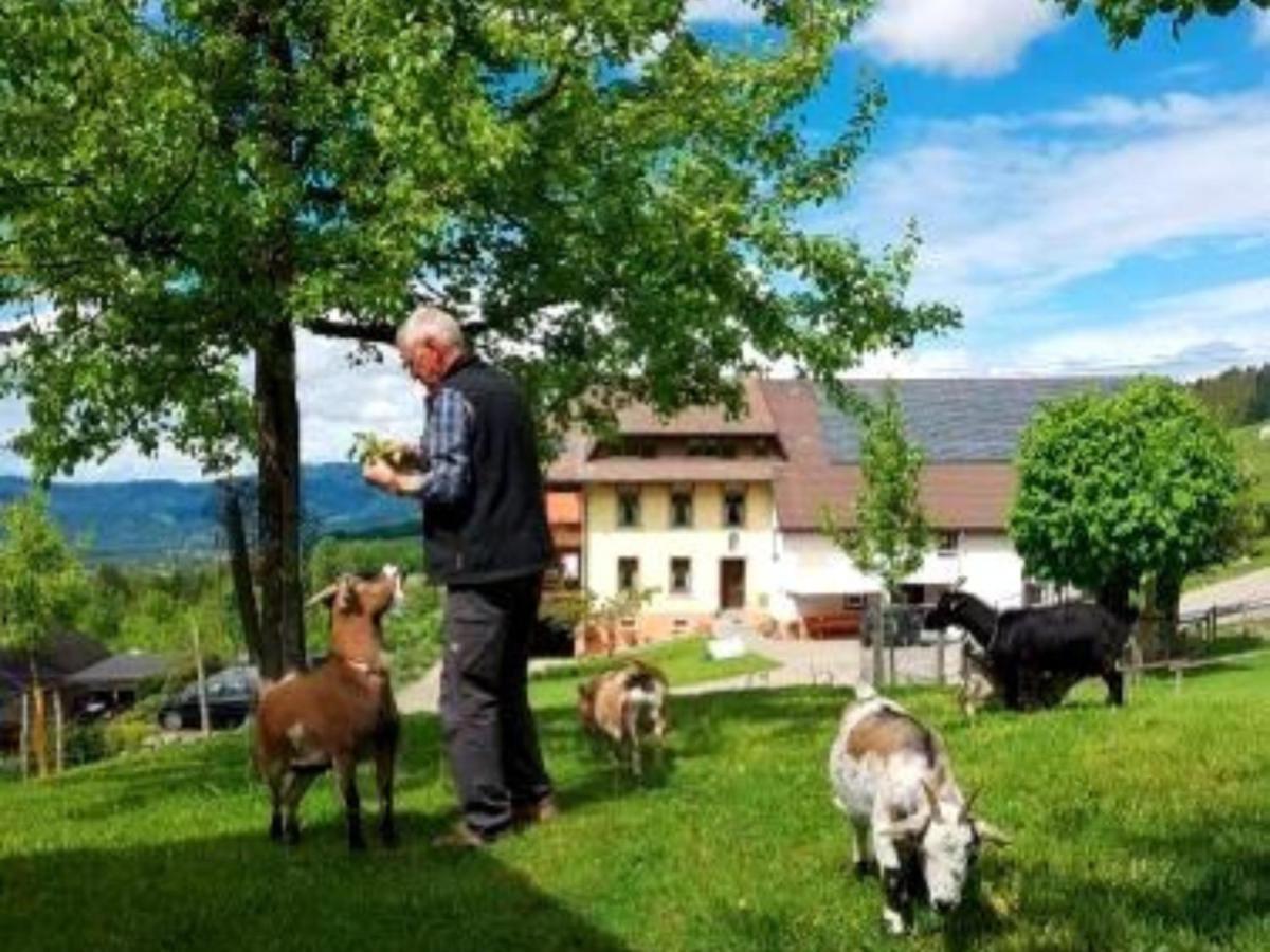 Ferienwohnungen Maierhof Oberried Oberried  Luaran gambar