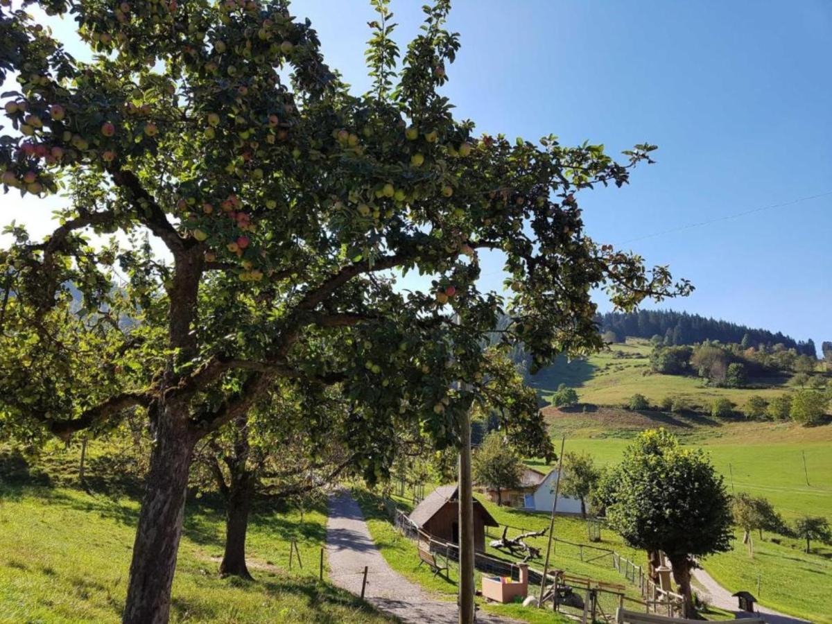 Ferienwohnungen Maierhof Oberried Oberried  Luaran gambar