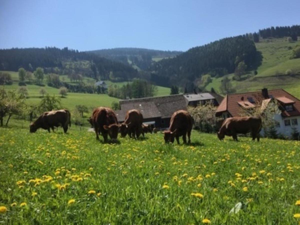 Ferienwohnungen Maierhof Oberried Oberried  Luaran gambar